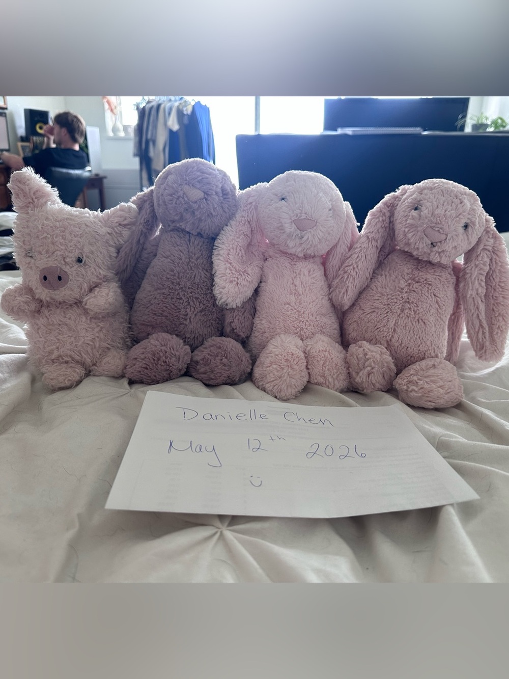 Jellycat Plush Bunny & Piglet Set in Pale Pink and Dusty Mauve